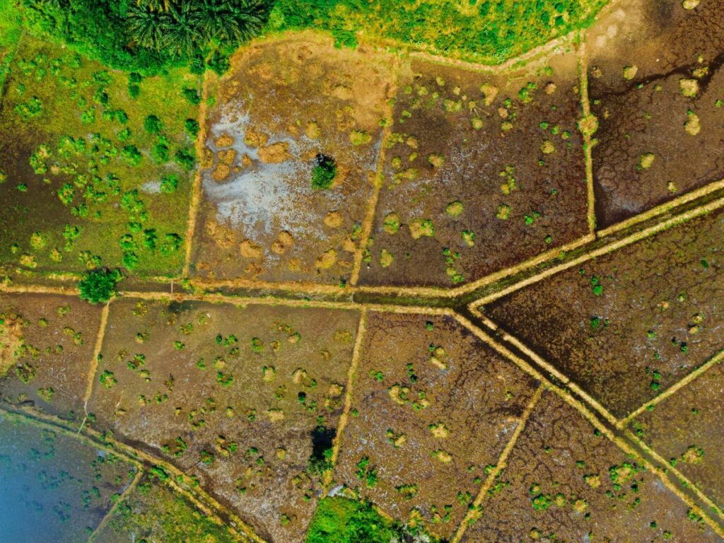 Passive Income From Land